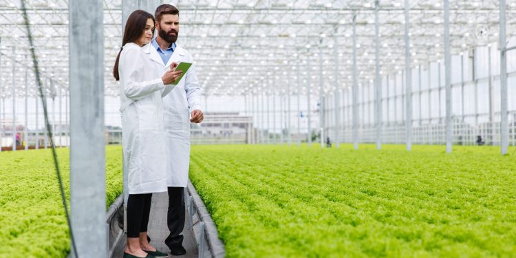 Unleashing Green Careers in Agriculture: A Comprehensive Roadmap for Aspiring Eco-Warriors Unleashing Green Careers in Agriculture: A Comprehensive Roadmap for Aspiring Eco-Warriors