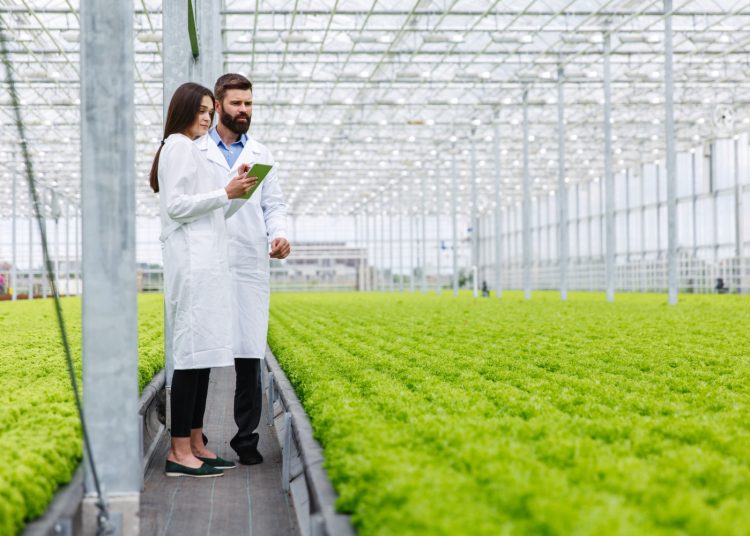 Unleashing Green Careers in Agriculture: A Comprehensive Roadmap for Aspiring Eco-Warriors